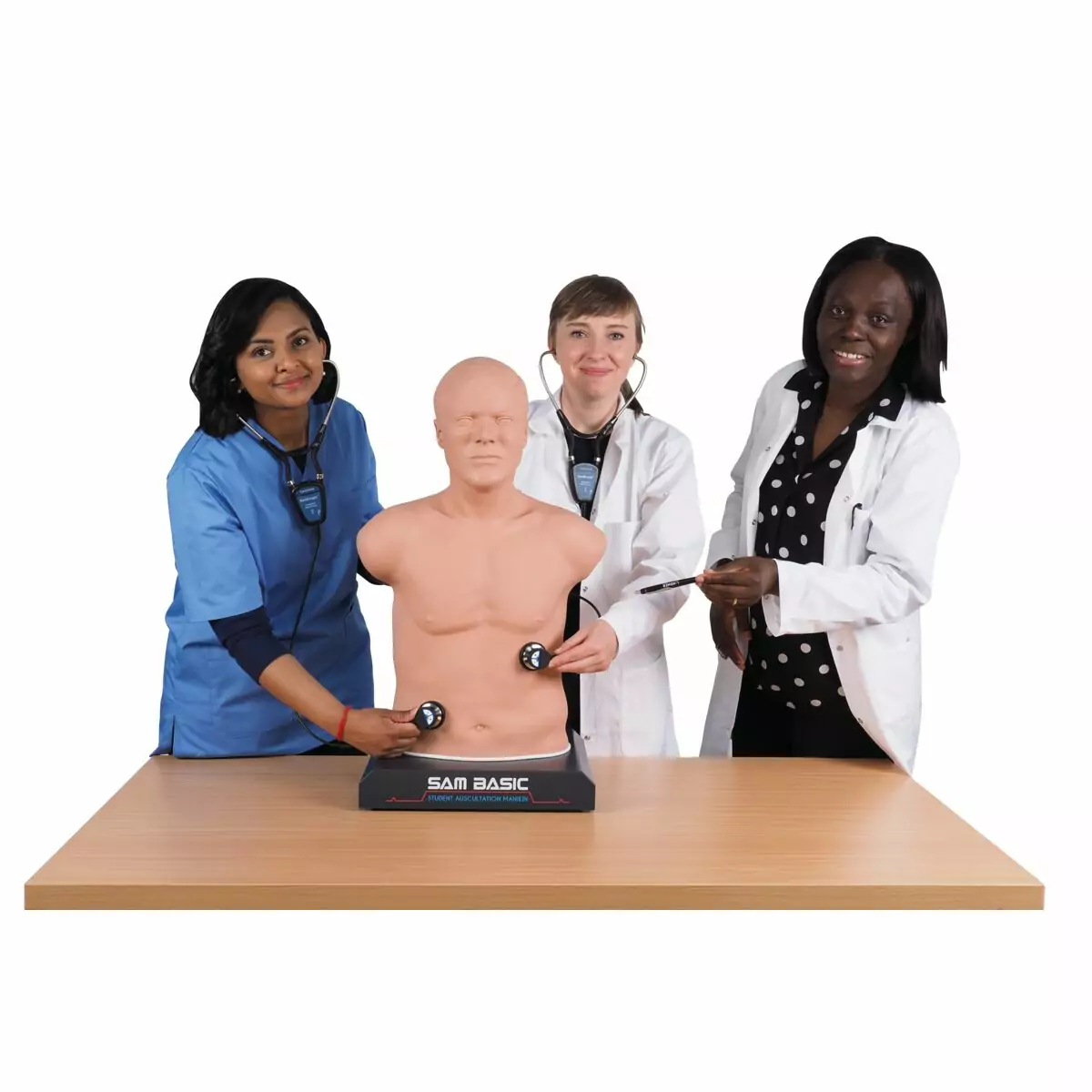 SAM Basic® - Affordable Adult Auscultation Manikin - Image 5