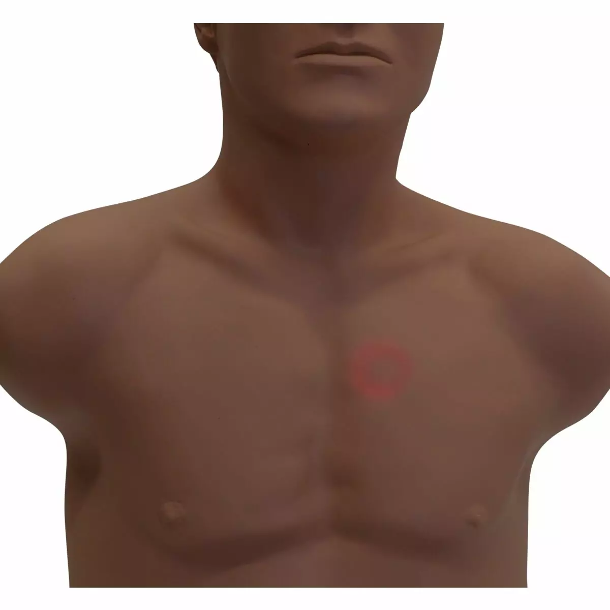 SAM4 Auscultation Manikin - Image 7