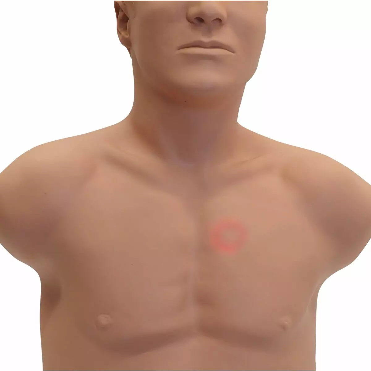 SAM4 Auscultation Manikin - Image 4