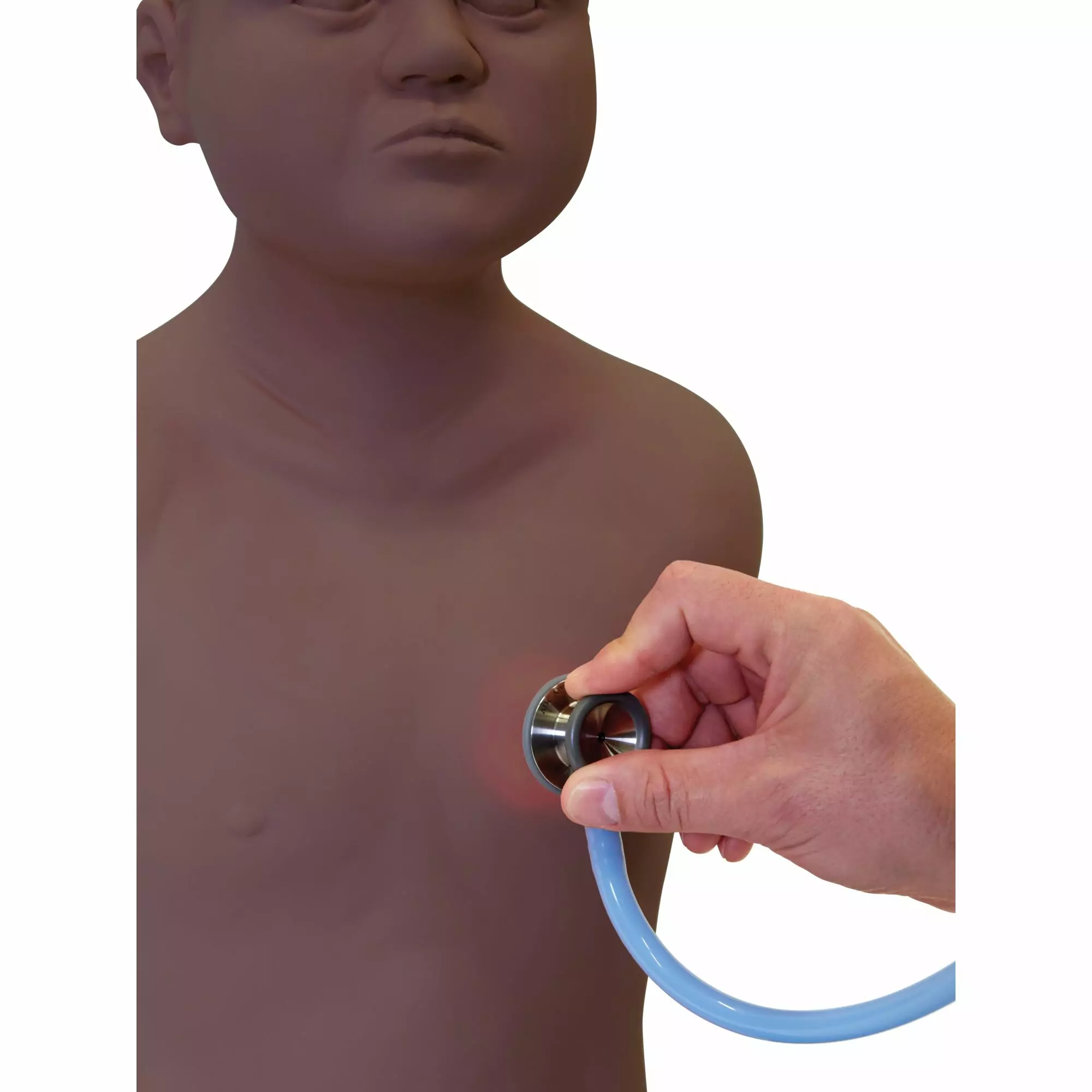 PAT4 - Pediatric Auscultation Trainer - Image 2